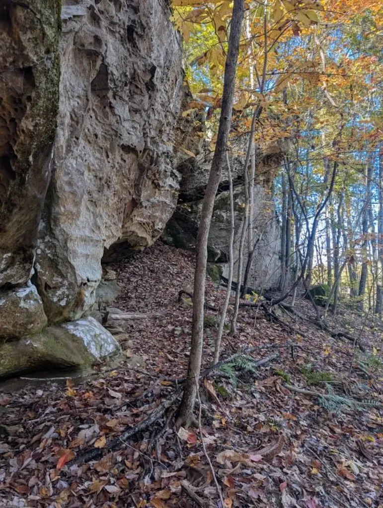 1111 Bridge Rock Road Mckee KY 40447