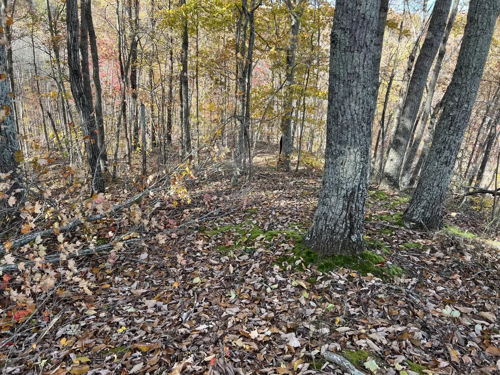1111 Bridge Rock Road Mckee KY 40447