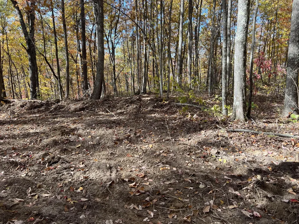 1111 Bridge Rock Road Mckee KY 40447