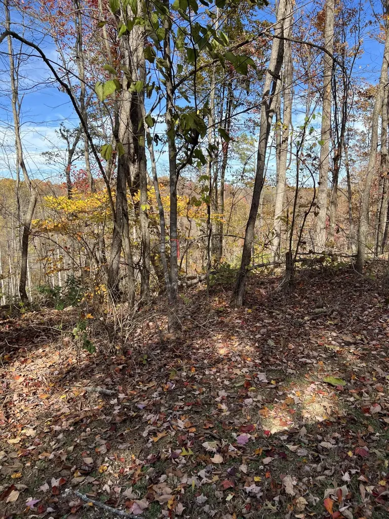 1111 Bridge Rock Road Mckee KY 40447