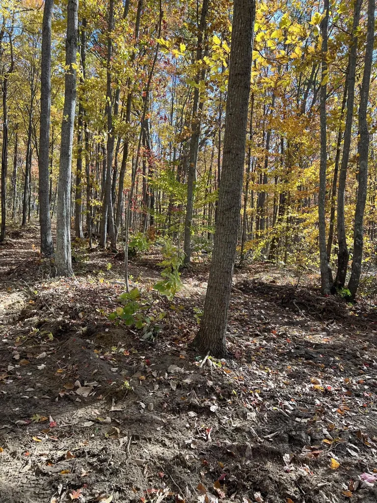 1111 Bridge Rock Road Mckee KY 40447