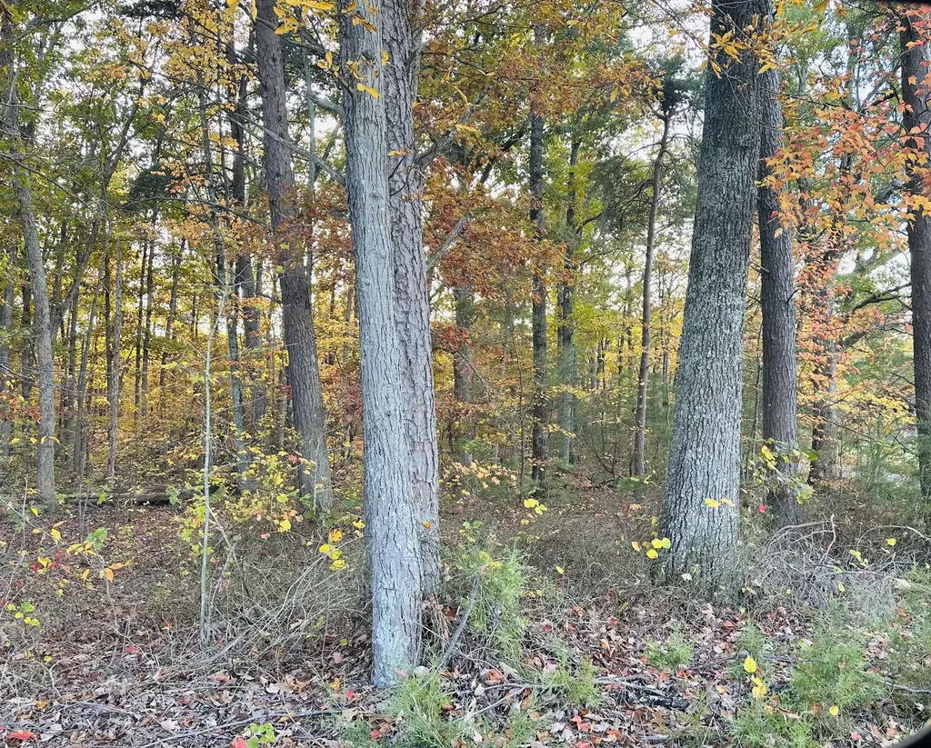 Tract 2 Sam Baughman Road Stanford KY 40484