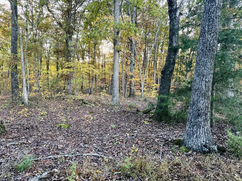 Tract 2 Sam Baughman Road Stanford KY 40484