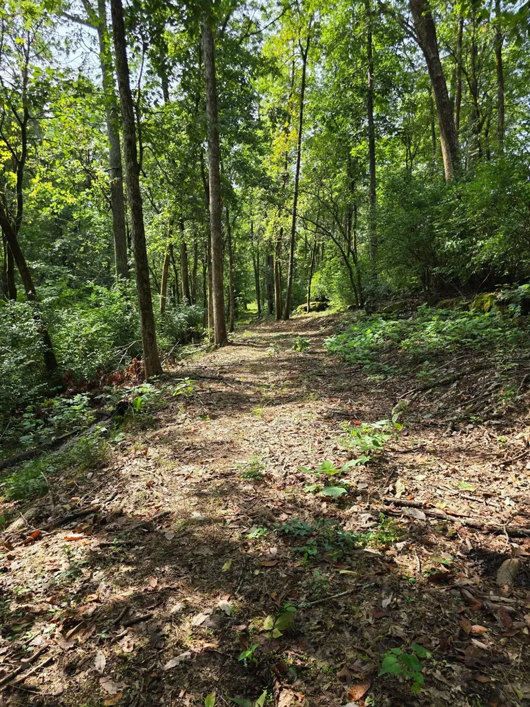 345 Tibbs Lane Danville KY 40422