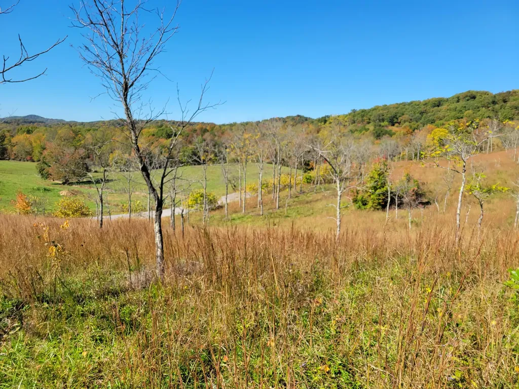 8888 Old Way Road London KY 40741