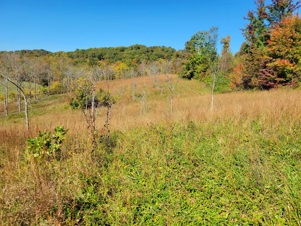 8888 Old Way Road London KY 40741