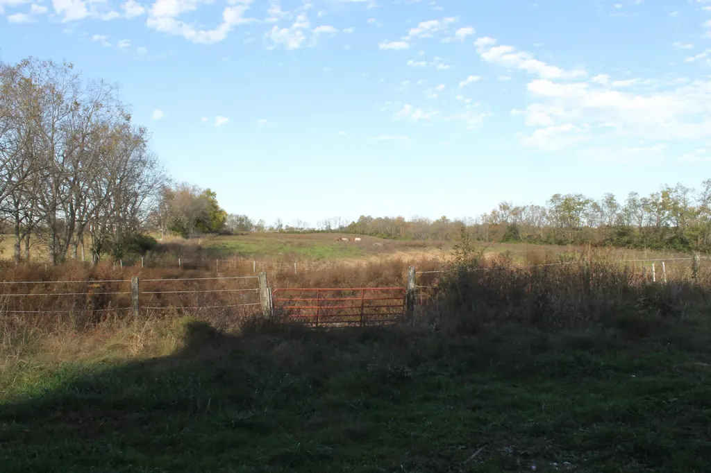 919 Fords Mill Road Versailles KY 40383