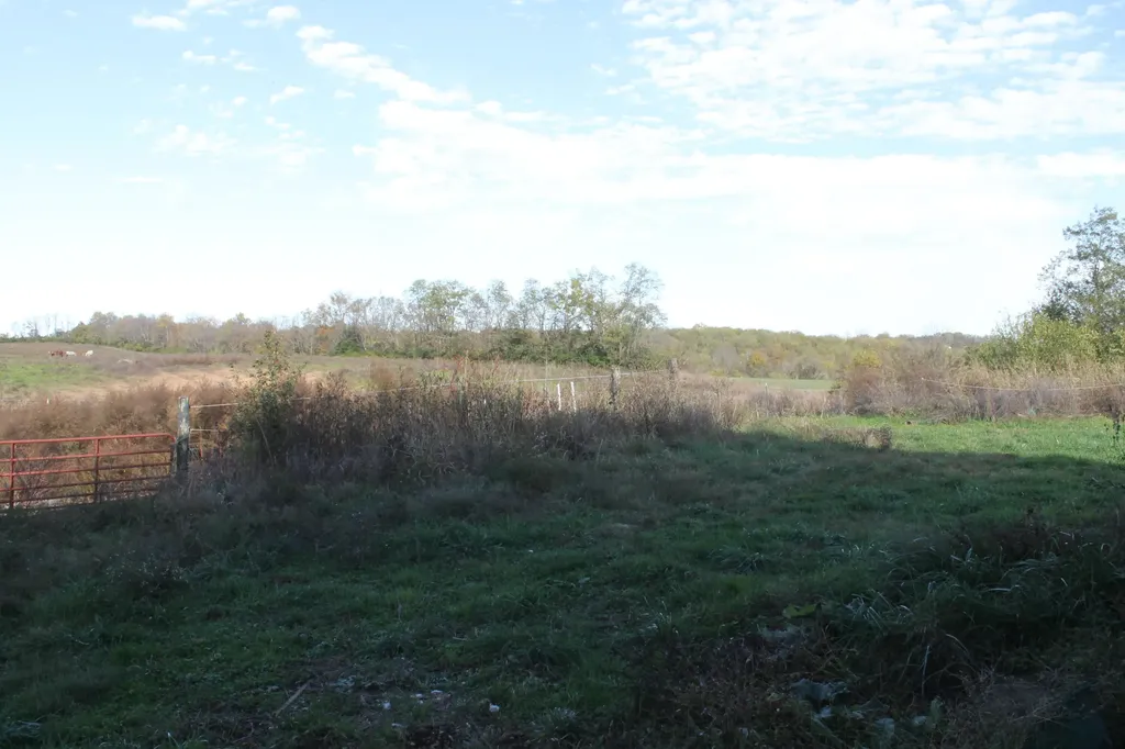 919 Fords Mill Road Versailles KY 40383