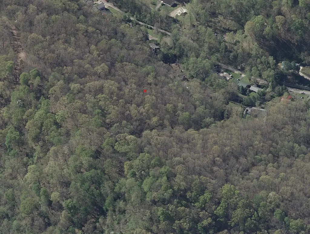 519 Happy Valley Road South Williamson KY 41503