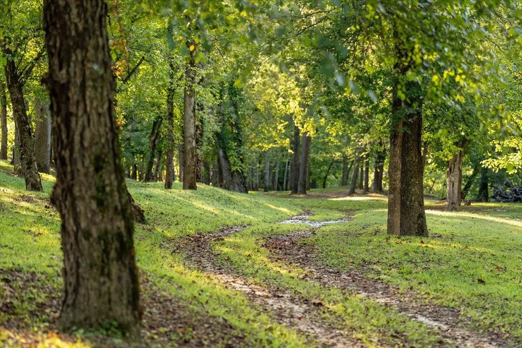 2270 Star Gap Road Stanton KY 40380