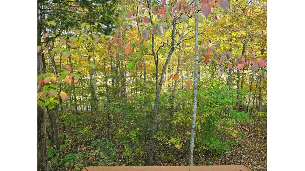 833 George Hardwick Road Bronston KY 42518
