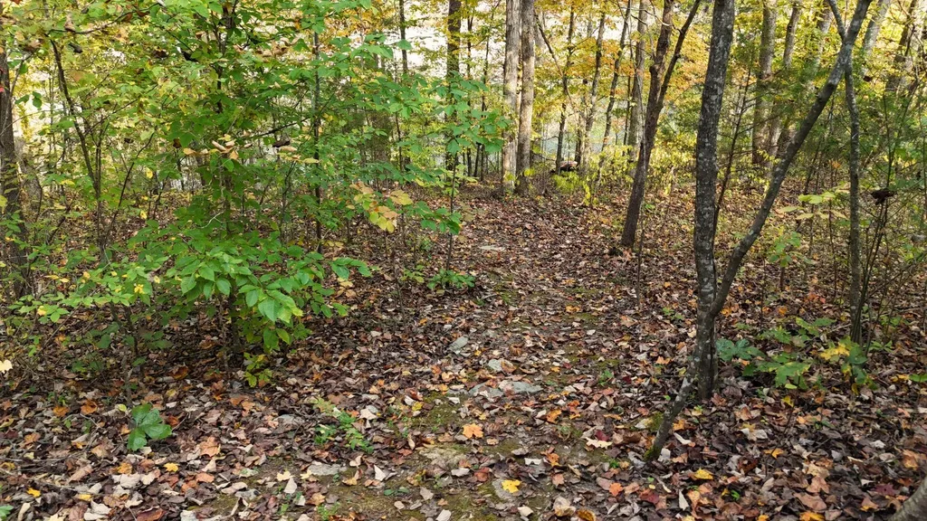 833 George Hardwick Road Bronston KY 42518