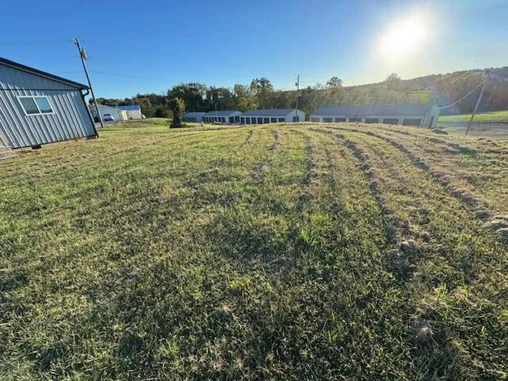 85 Blue Licks Spur Mount Olivet KY 41064