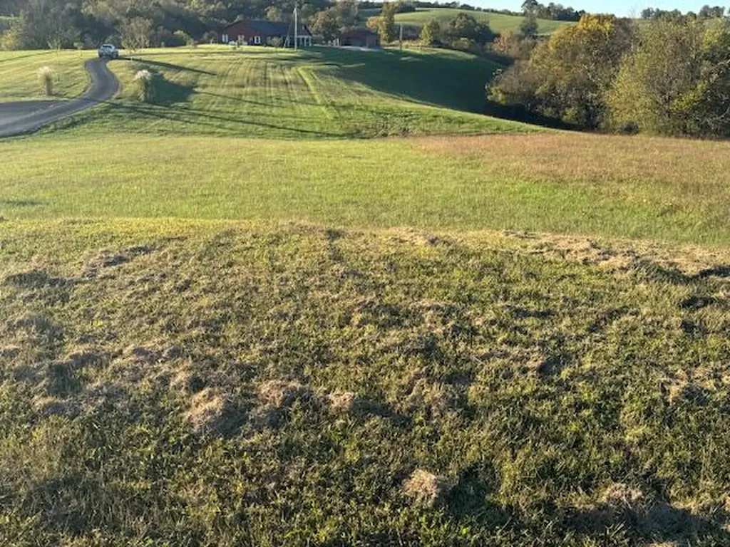 85 Blue Licks Spur Mount Olivet KY 41064
