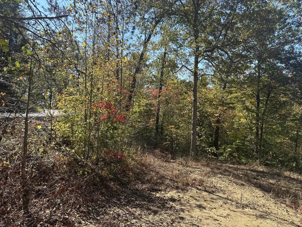 68 Wood View Drive East Bernstadt KY 40729