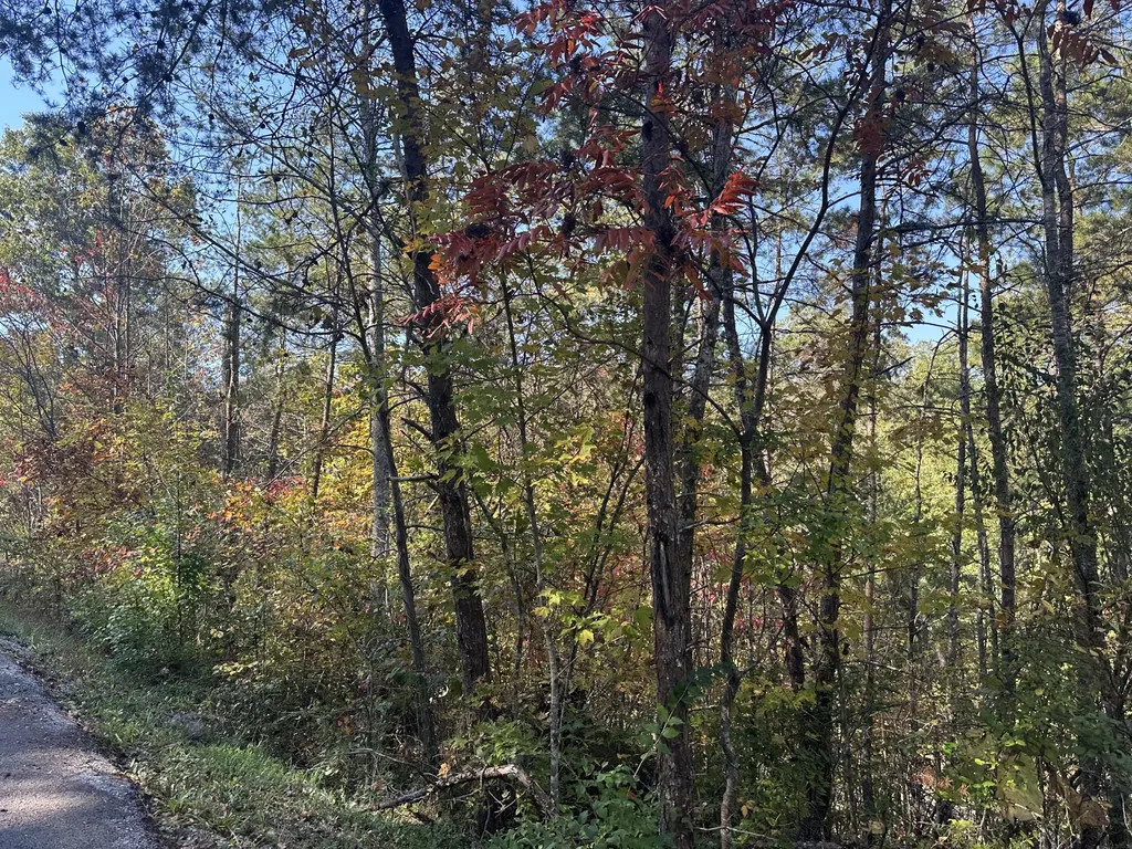 68 Wood View Drive East Bernstadt KY 40729