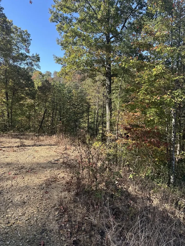 68 Wood View Drive East Bernstadt KY 40729