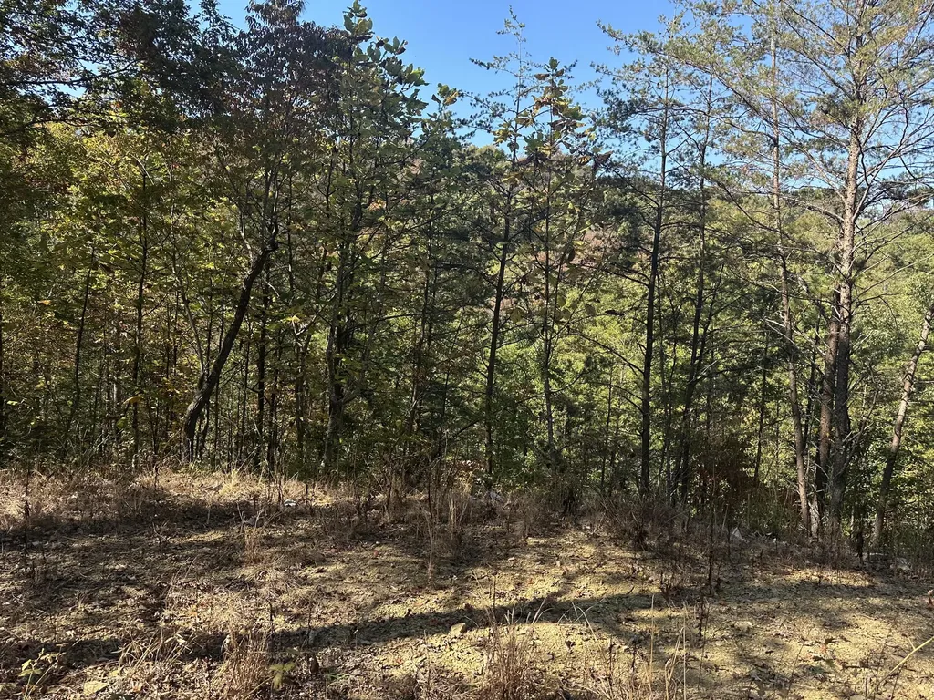 68 Wood View Drive East Bernstadt KY 40729