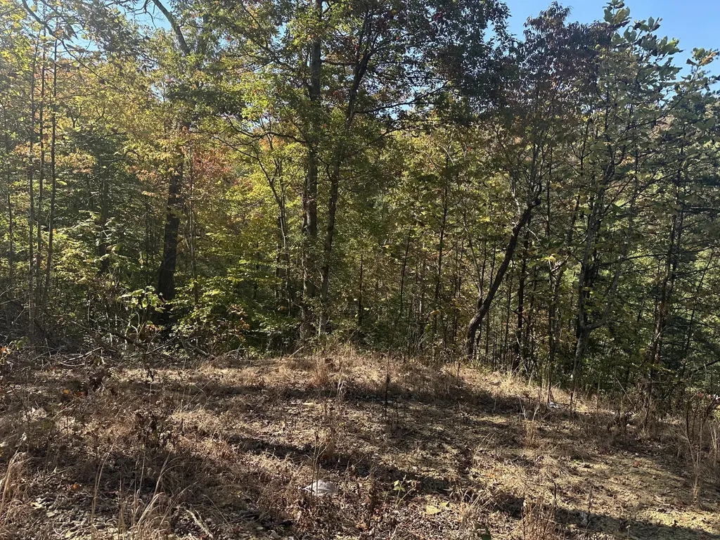 68 Wood View Drive East Bernstadt KY 40729