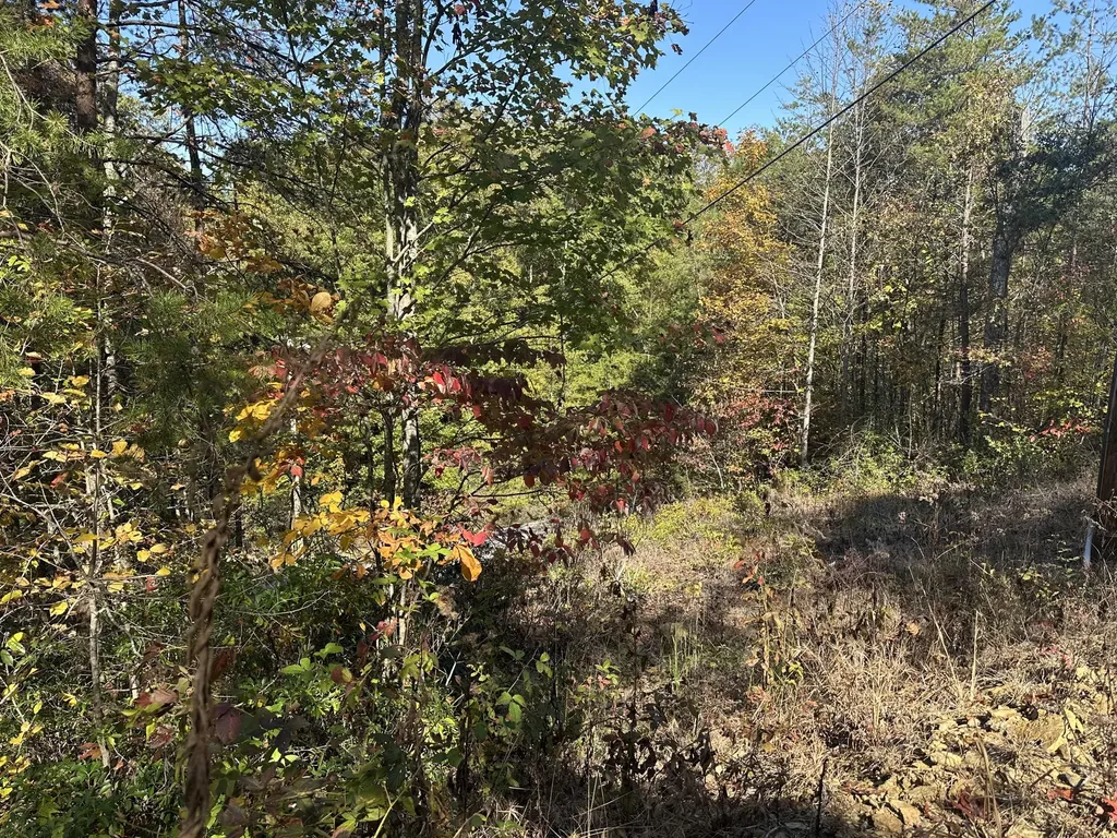 68 Wood View Drive East Bernstadt KY 40729