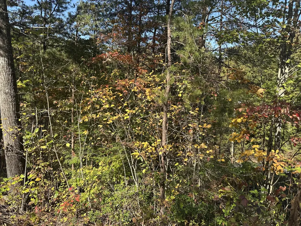 68 Wood View Drive East Bernstadt KY 40729