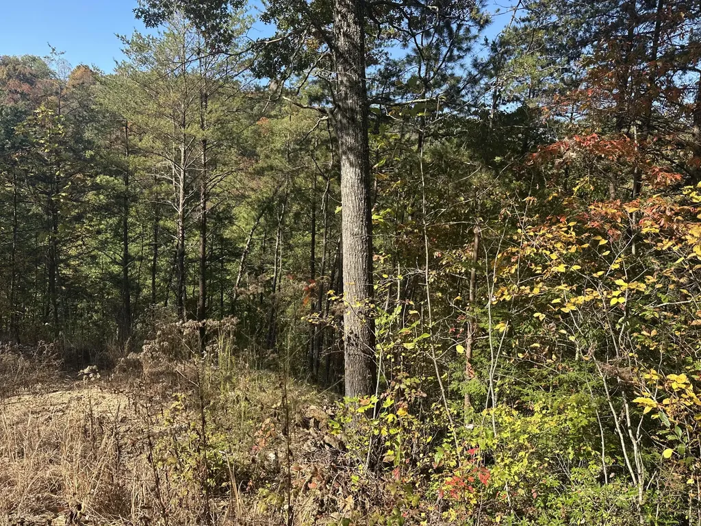 68 Wood View Drive East Bernstadt KY 40729