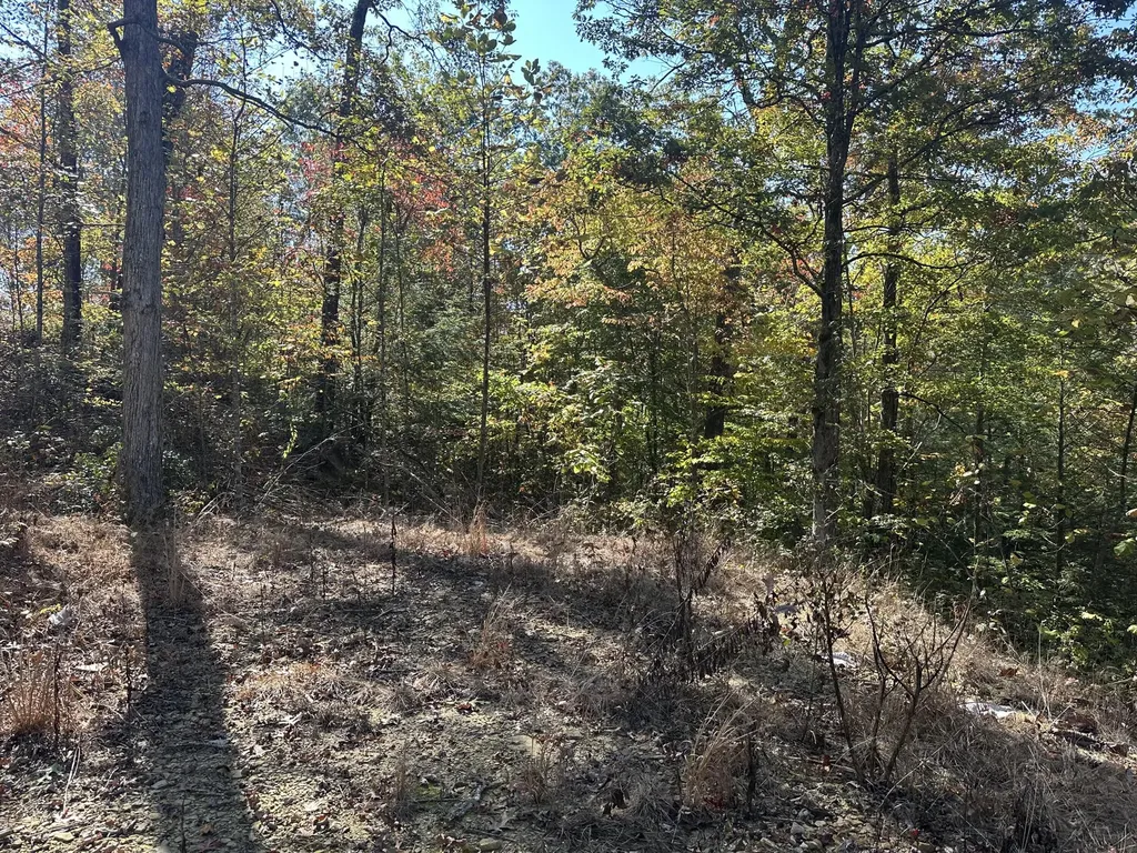 68 Wood View Drive East Bernstadt KY 40729
