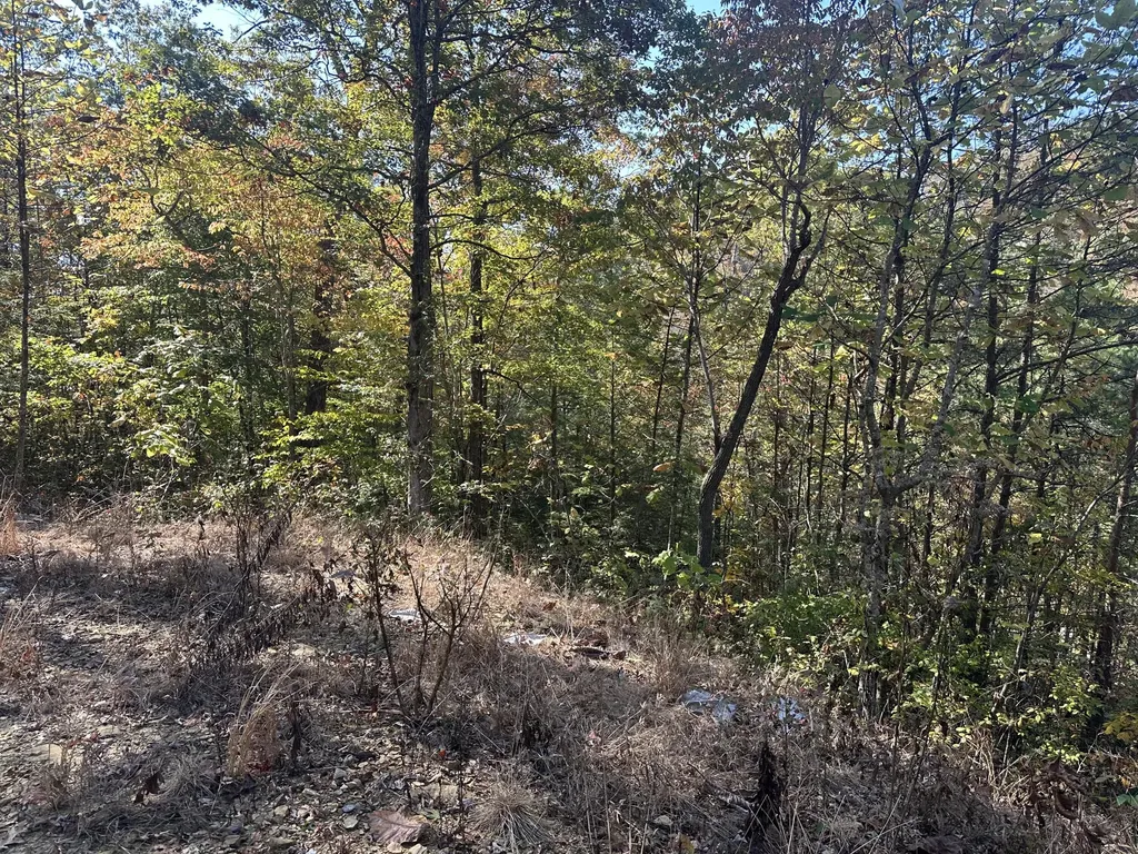 68 Wood View Drive East Bernstadt KY 40729