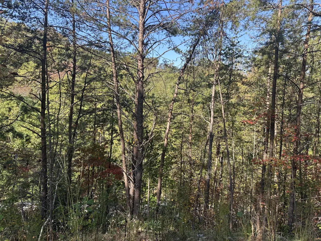 68 Wood View Drive East Bernstadt KY 40729
