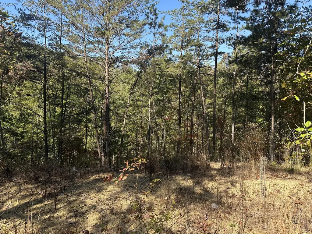 68 Wood View Drive East Bernstadt KY 40729