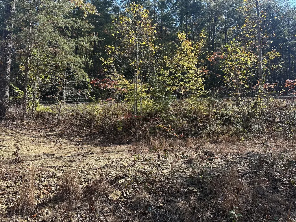 68 Wood View Drive East Bernstadt KY 40729