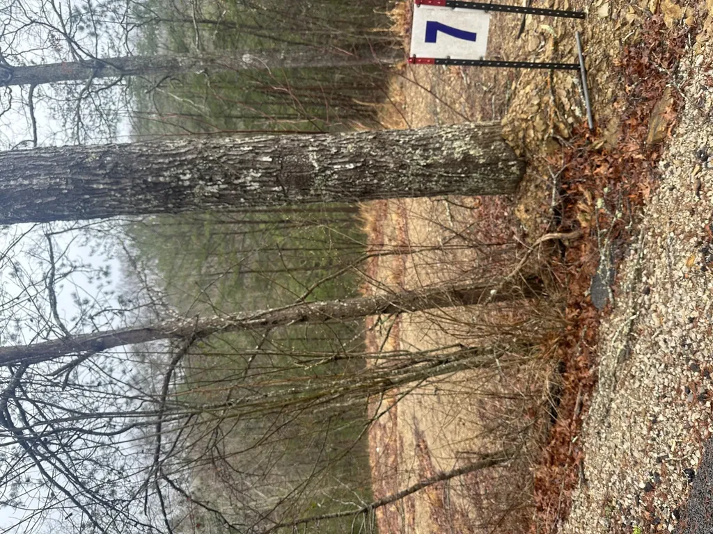 68 Wood View Drive East Bernstadt KY 40729