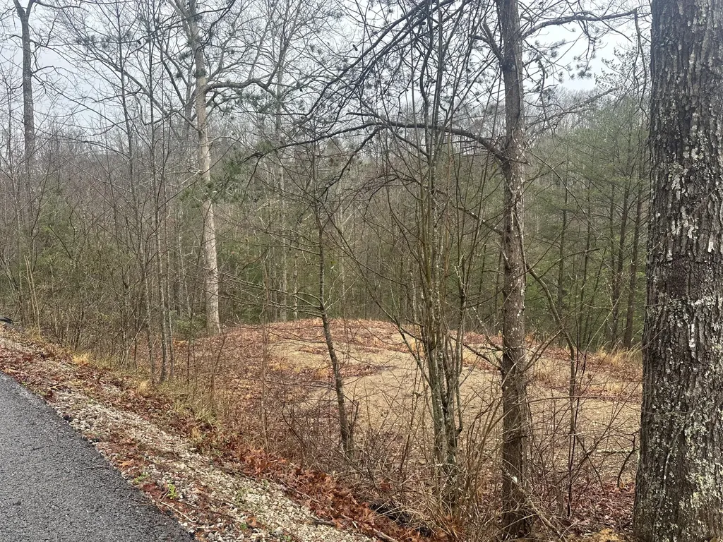 68 Wood View Drive East Bernstadt KY 40729