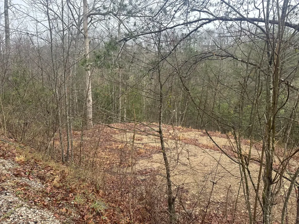 68 Wood View Drive East Bernstadt KY 40729