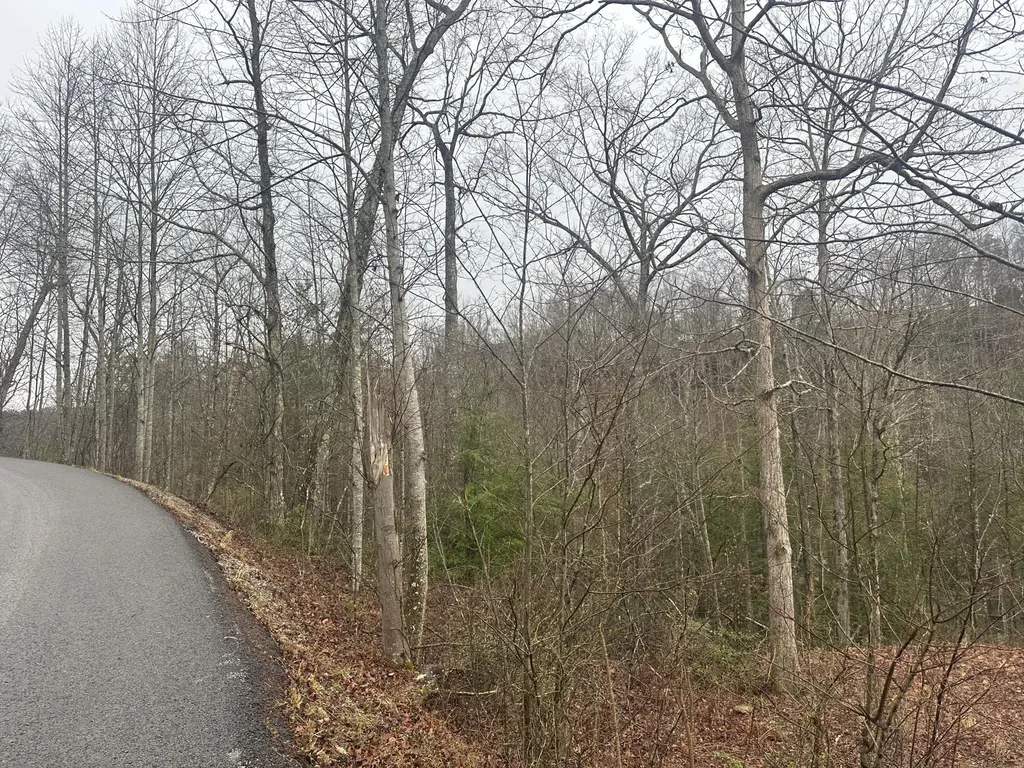 68 Wood View Drive East Bernstadt KY 40729