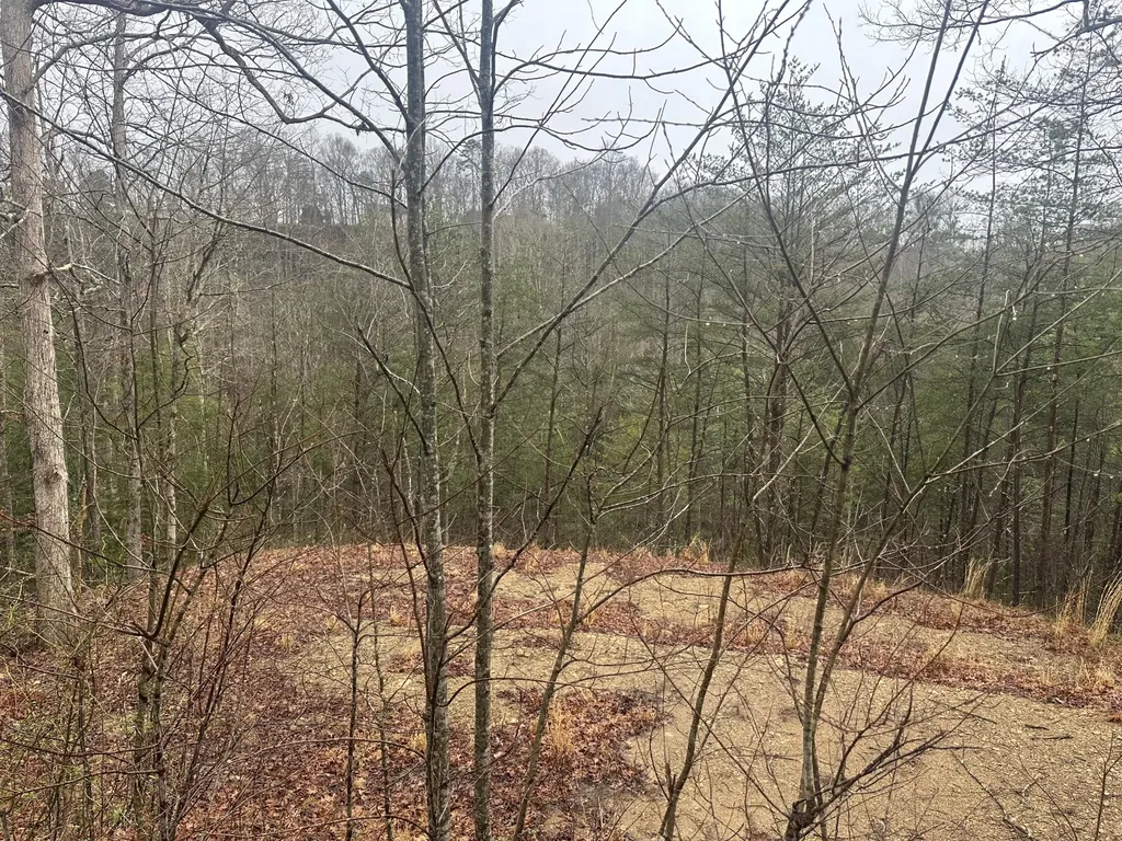 68 Wood View Drive East Bernstadt KY 40729