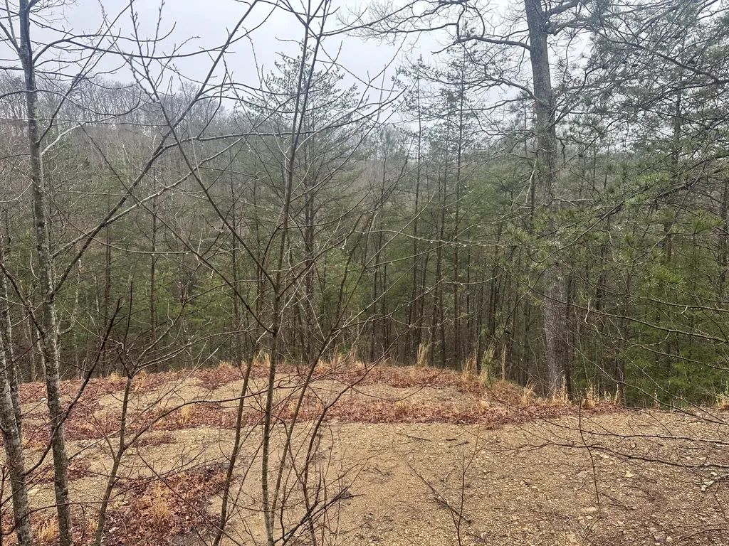68 Wood View Drive East Bernstadt KY 40729