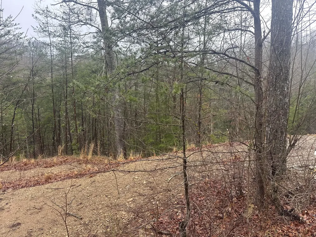 68 Wood View Drive East Bernstadt KY 40729