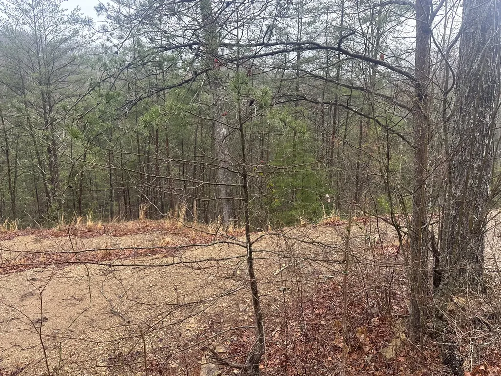 68 Wood View Drive East Bernstadt KY 40729