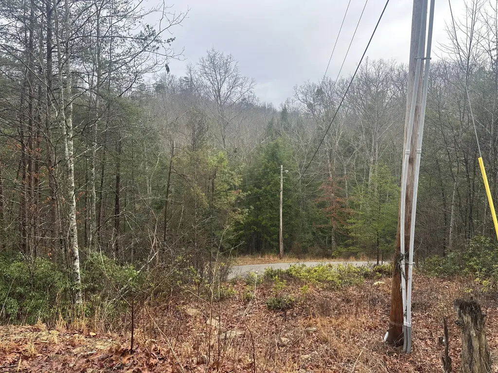 68 Wood View Drive East Bernstadt KY 40729