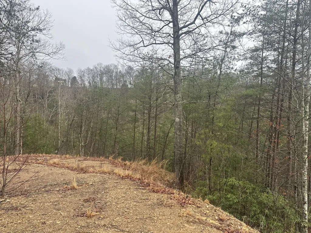68 Wood View Drive East Bernstadt KY 40729