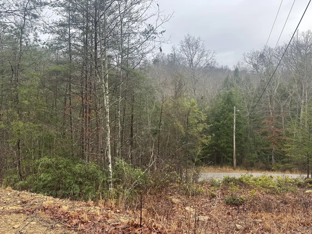 68 Wood View Drive East Bernstadt KY 40729
