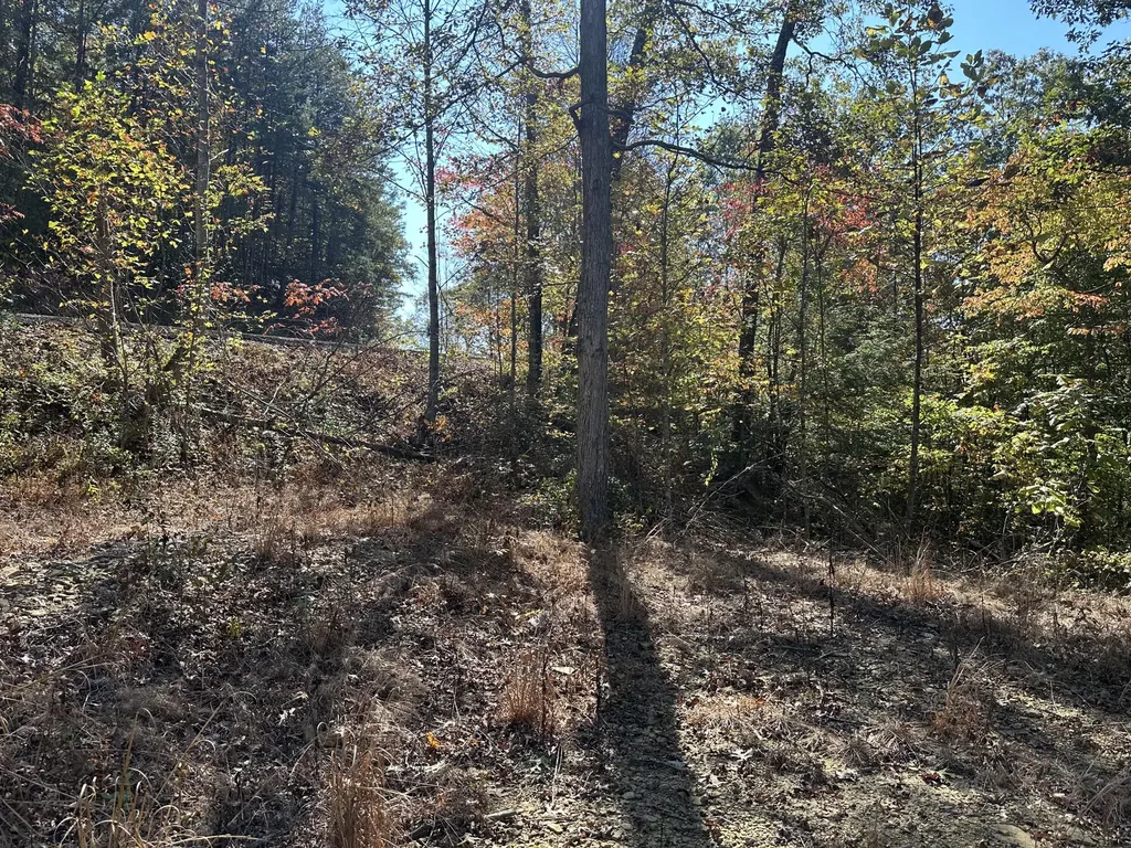 68 Wood View Drive East Bernstadt KY 40729