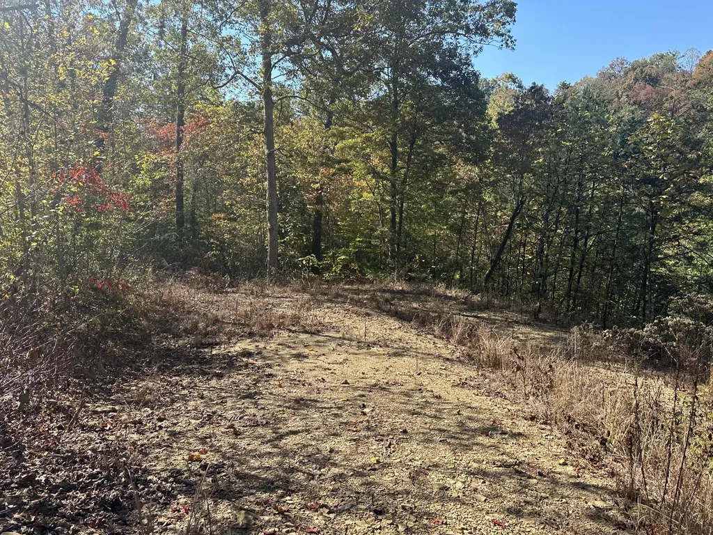 68 Wood View Drive East Bernstadt KY 40729