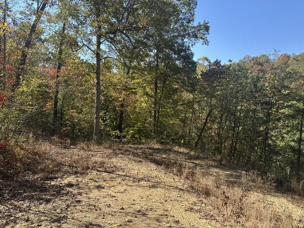 68 Wood View Drive East Bernstadt KY 40729