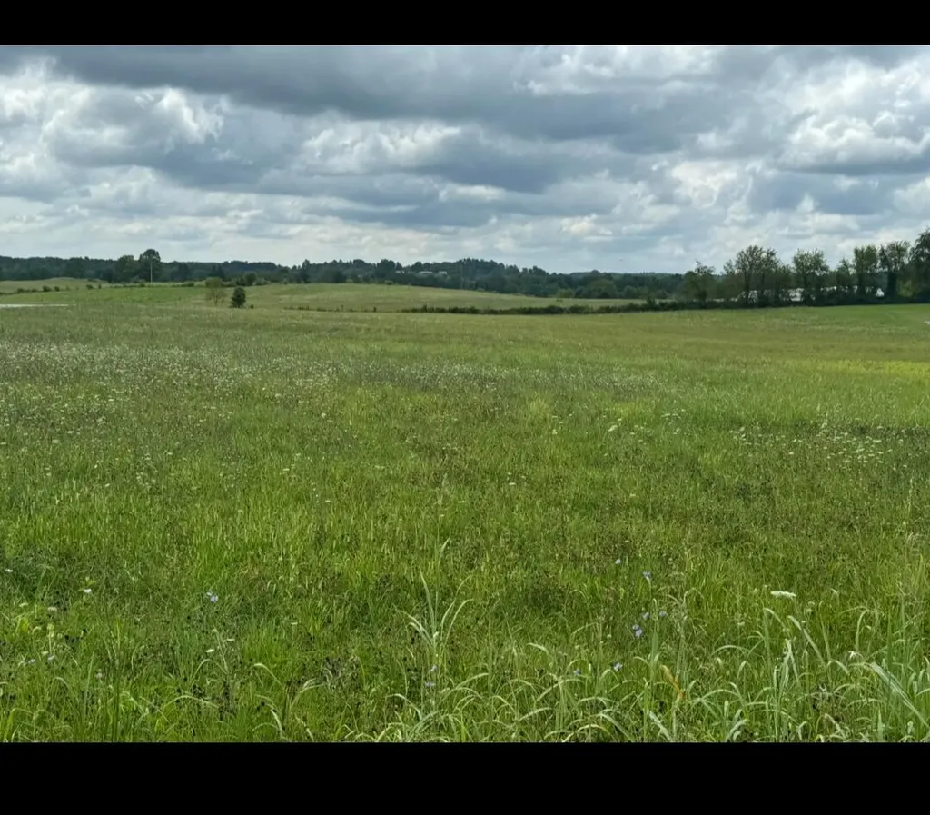 00000 Wyan Road London KY 40744