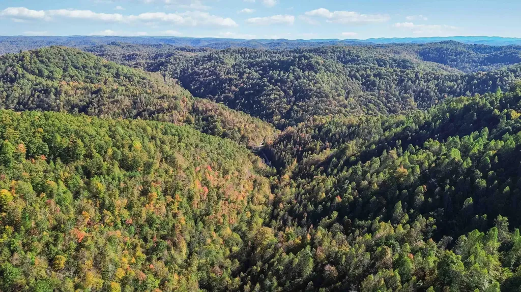 184 Ancient Springs Drive Hinkle KY 40953