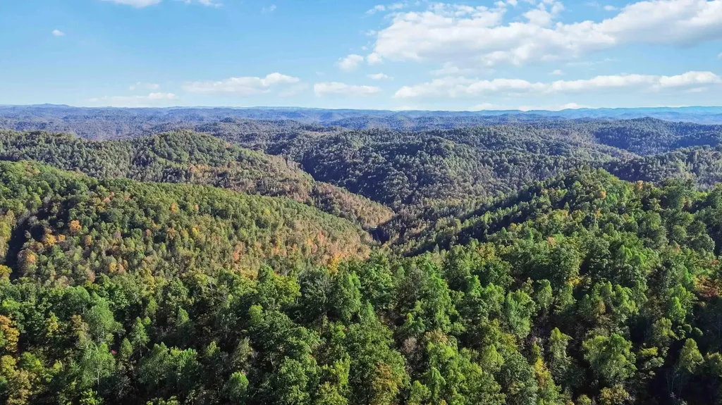 184 Ancient Springs Drive Hinkle KY 40953