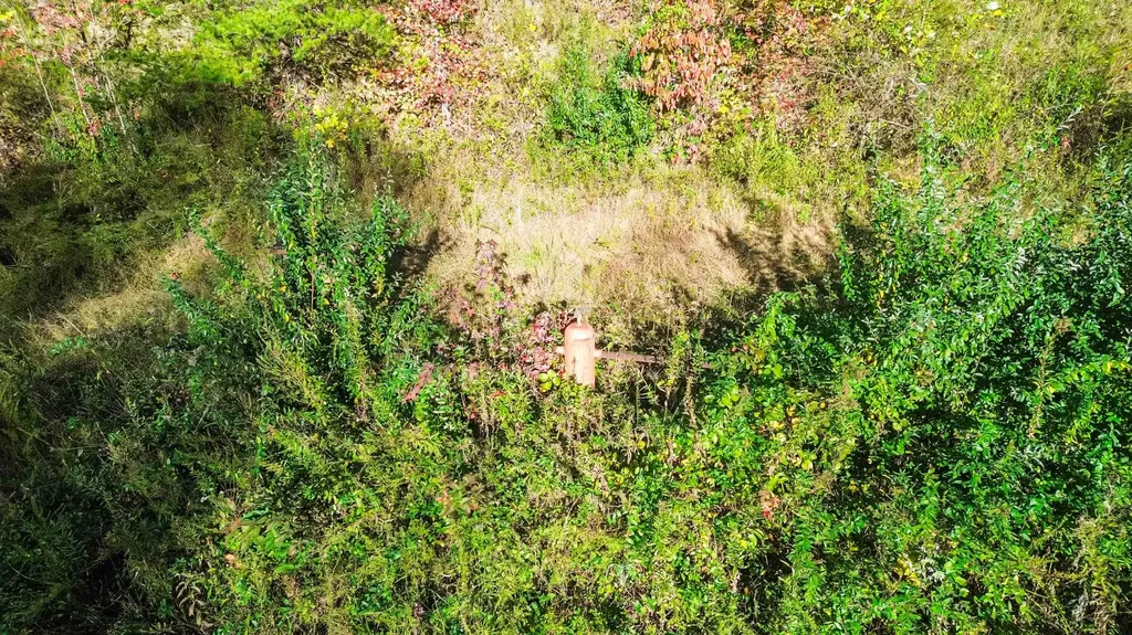 184 Ancient Springs Drive Hinkle KY 40953
