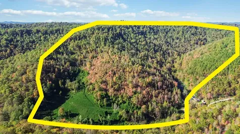 184 Ancient Springs Drive Hinkle KY 40953